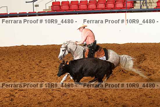 Proof 10r9_4480