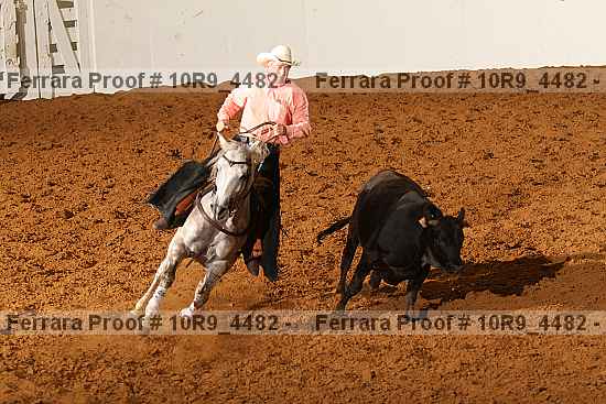 Proof 10r9_4482