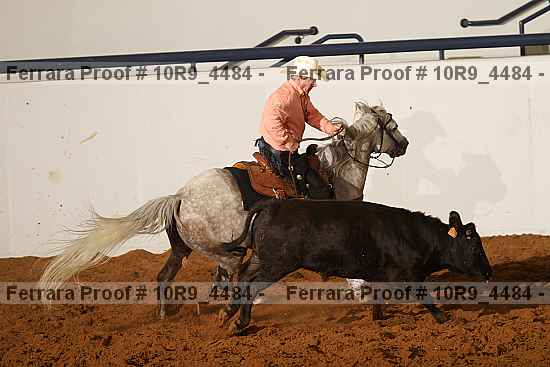 Proof 10r9_4484