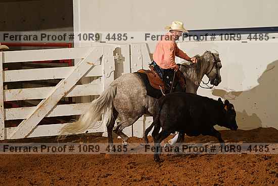 Proof 10r9_4485