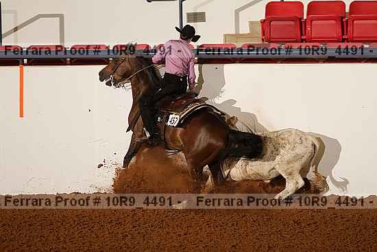 Proof 10r9_4491