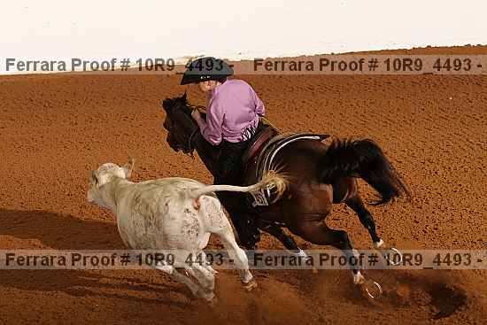 Proof 10r9_4493