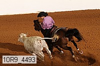 10r9_4493 proof