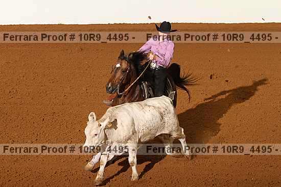 Proof 10r9_4495