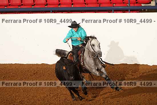 Proof 10r9_4499