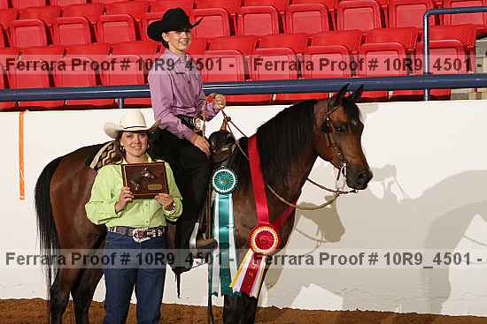 Proof 10r9_4501