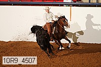 10r9_4507 proof
