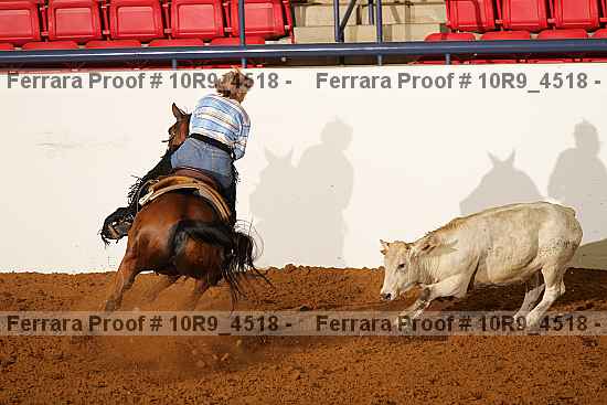 Proof 10r9_4518