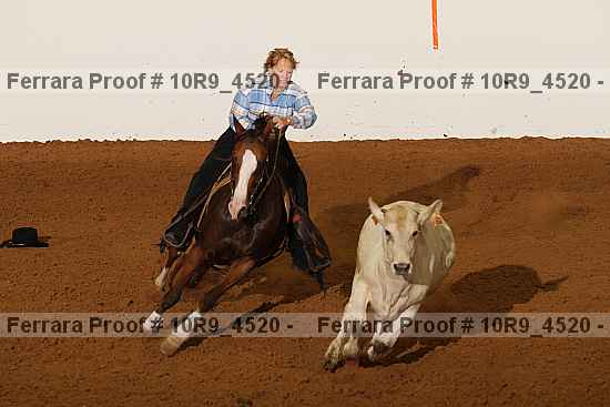 Proof 10r9_4520