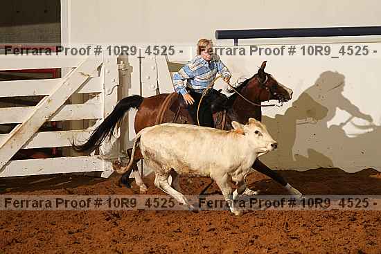 Proof 10r9_4525