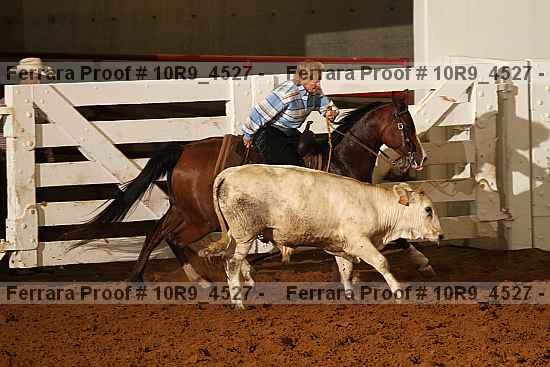 Proof 10r9_4527