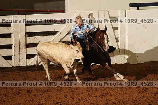Proof 10r9_4528