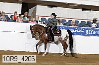 10r9_4206 proof