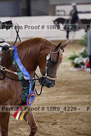 Proof 10r9_4226