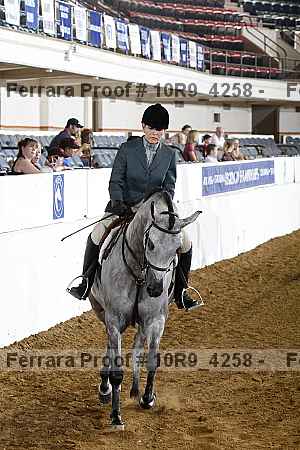 Proof 10r9_4258