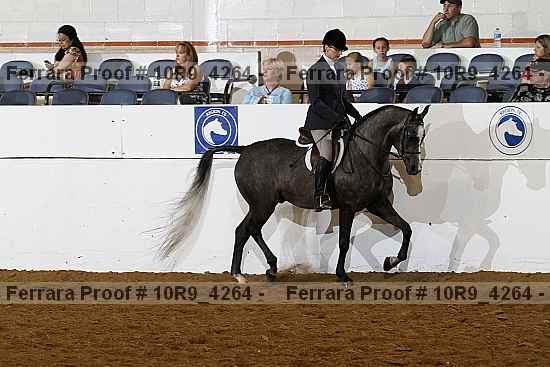 Proof 10r9_4264