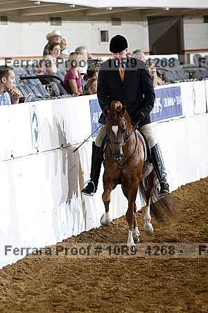 Proof 10r9_4268