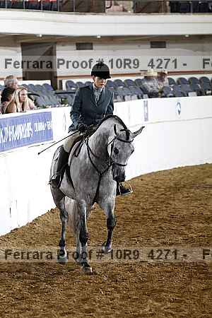 Proof 10r9_4271