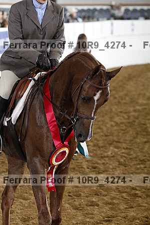 Proof 10r9_4274