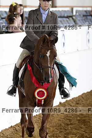 Proof 10r9_4286