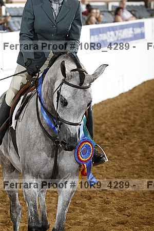 Proof 10r9_4289