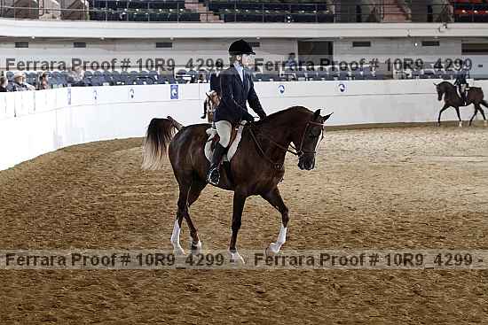 Proof 10r9_4299