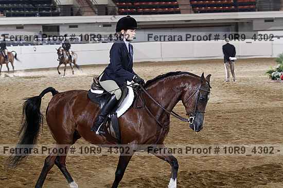 Proof 10r9_4302
