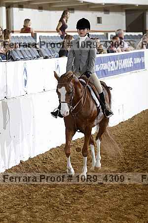 Proof 10r9_4309