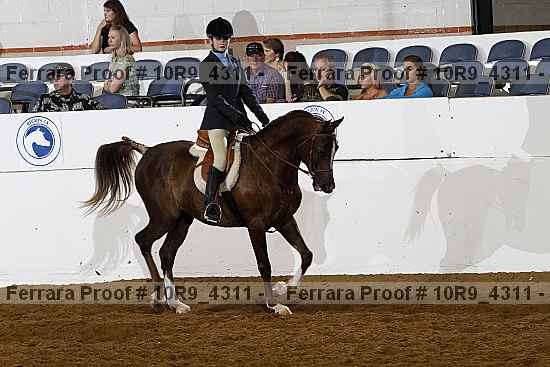 Proof 10r9_4311