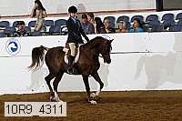 10r9_4311 proof