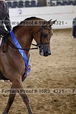 Proof 10r9_4321