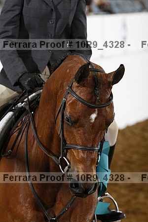 Proof 10r9_4328
