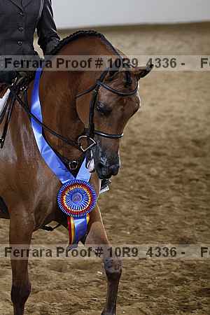 Proof 10r9_4336