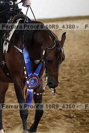 Proof 10r9_4380
