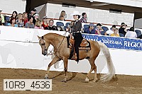 10r9_4536 proof