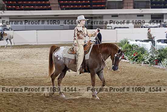 Proof 10r9_4544