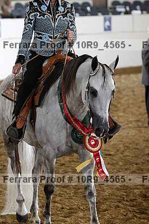 Proof 10r9_4565