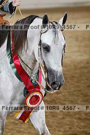 Proof 10r9_4567