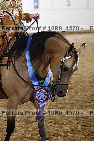 Proof 10r9_4570