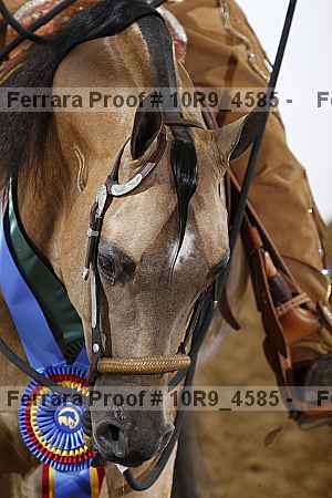 Proof 10r9_4585