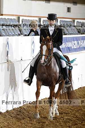 Proof 10r9_4602