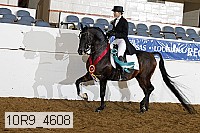 10r9_4608 proof