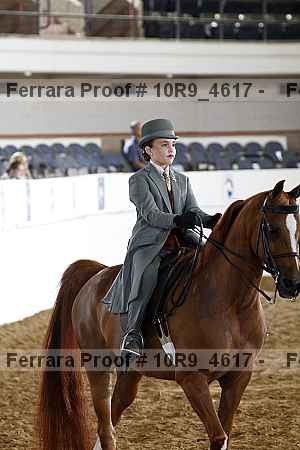 Proof 10r9_4617