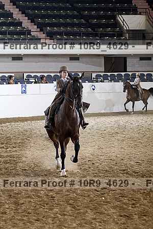 Proof 10r9_4629