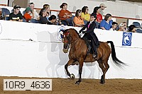 10r9_4636 proof