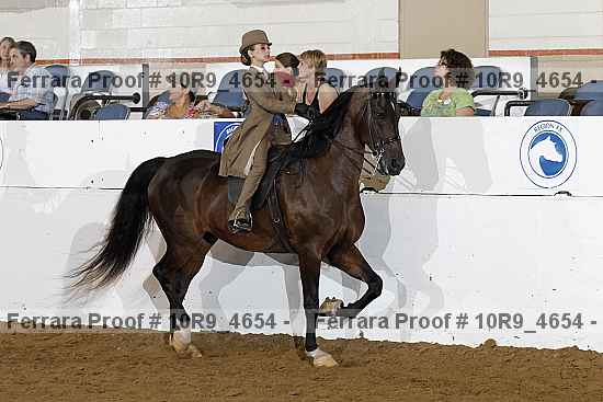 Proof 10r9_4654