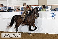 10r9_4654 proof