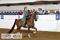 10r9_4656 proof