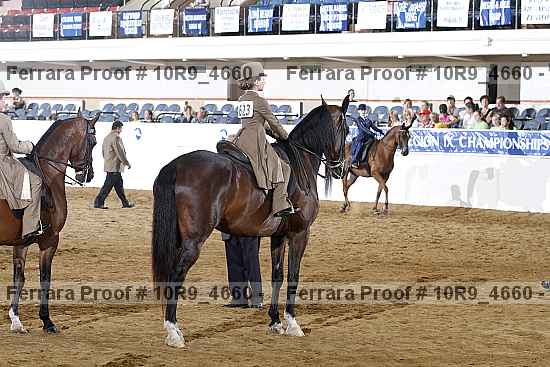 Proof 10r9_4660