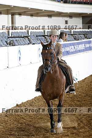 Proof 10r9_4667